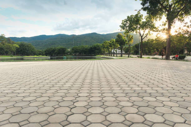 Best Interlocking Driveway Pavers  in Sunrise Manor, NV
