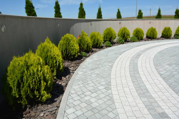 Best Driveway Repair Near Me  in Sunrise Manor, NV